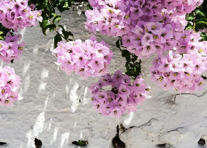 Lazaratos Aparthotel 2*