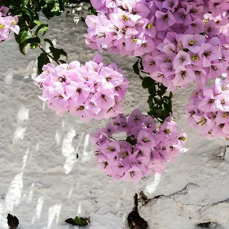 Lazaratos Apartmanhotel 2*